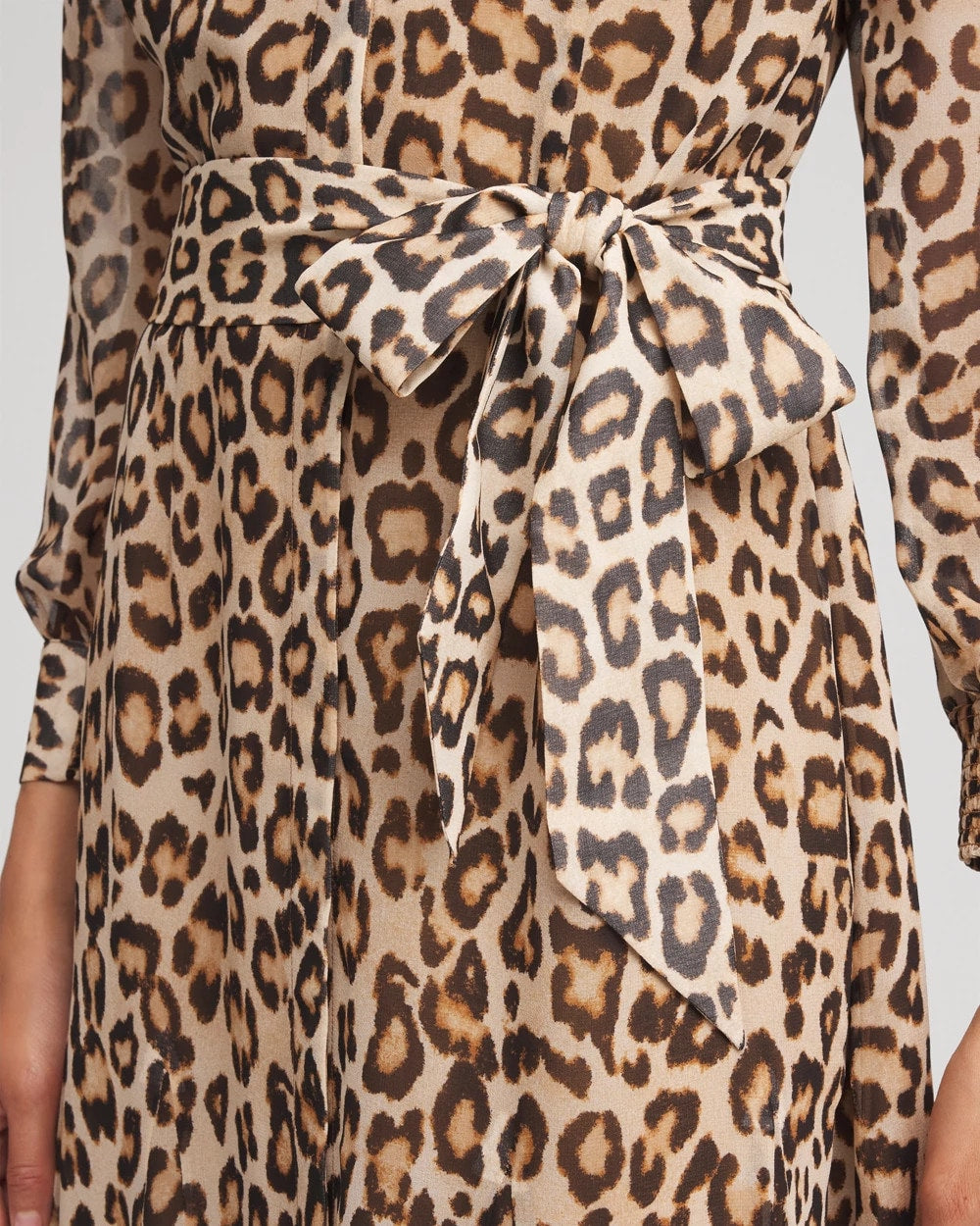 Chico's Cheetah-Print Godet Dress BRIAR BROWN